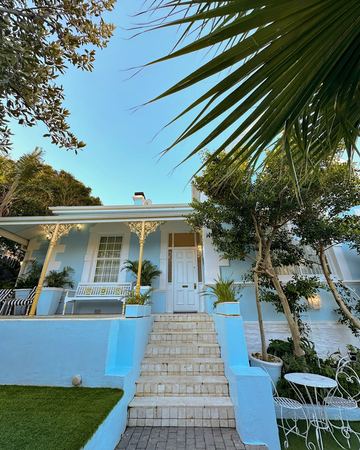 Looking up the steps to the verandah and the front door, between the palms